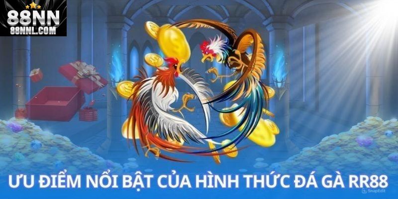 Lý do vì sao nên tham gia cá cược đá gà tại 88NN