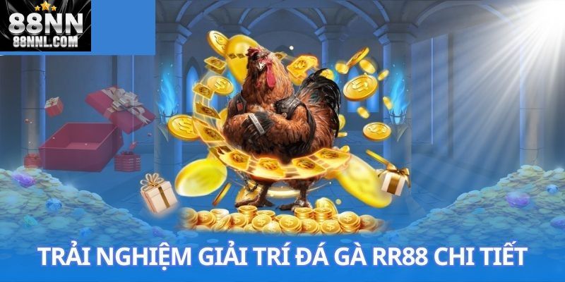 Hướng dẫn cách thức tham gia cá cược đá gà 88NN dễ dàng